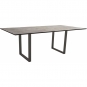 Stern - Kufentisch 200x100 cm | Aluminium anthrazit | Metallic grau