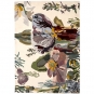 nanimarquina - Flora Backyard Teppich 200 x 300 cm