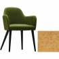 Jan Kurtz - Flaminia Sessel Senf | Buche Wenge