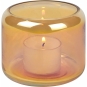 Lambert - Oudon Windlicht S Strelitzie