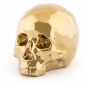Seletti - Memorabilia My Skull Deko Totenkopf Gold
