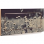 Ambivalenz - Fläpps Regal 60x27 cm Wild and Free – Ingrid Beddoes