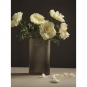 Muuto - Ridge Vase Höhe 35 | Taupe Frosted Glass