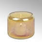 Lambert - Oudon Windlicht S Strelitzie