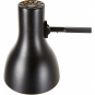 Anglepoise - Type 75 Paul Smith Tischleuchte Edition 5