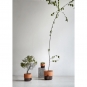 Northern - Oasis Blumentopf Zweifarbig Medium | Schwarz