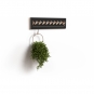 Ambivalenz - Fläpps Garderobe Crownhäng 80x20 cm | Schwarz