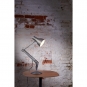 Anglepoise - Type 75 Tischleuchte Brushed Aluminium