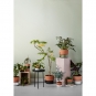 Northern - Oasis Blumentopf Zweifarbig Medium | Schwarz