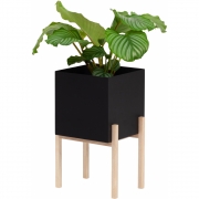 Design House Stockholm - Botanic Blumentopf hoch