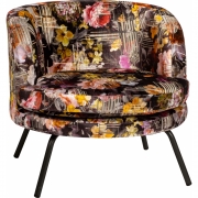 Stern - Leni Lounge Sessel 