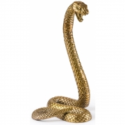 Seletti Diesel - Wunderkammer Snake Deko 