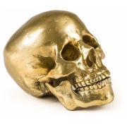 Seletti Diesel - Wunderkammer Human Skull Deko 