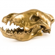 Seletti Diesel - Wunderkammer Wolf Skull Deko 