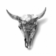 Seletti Diesel - Wunderkammer Bisonschädel Deko 