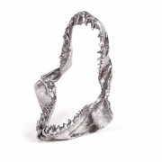 Seletti Diesel - Wunderkammer Hai Kiefer Deko 