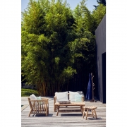 Jan Kurtz - Fred Couchtisch 